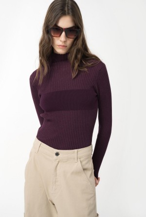 POTENT PURPLE Pinko Ribbed knit turtleneck | AMYDF70405