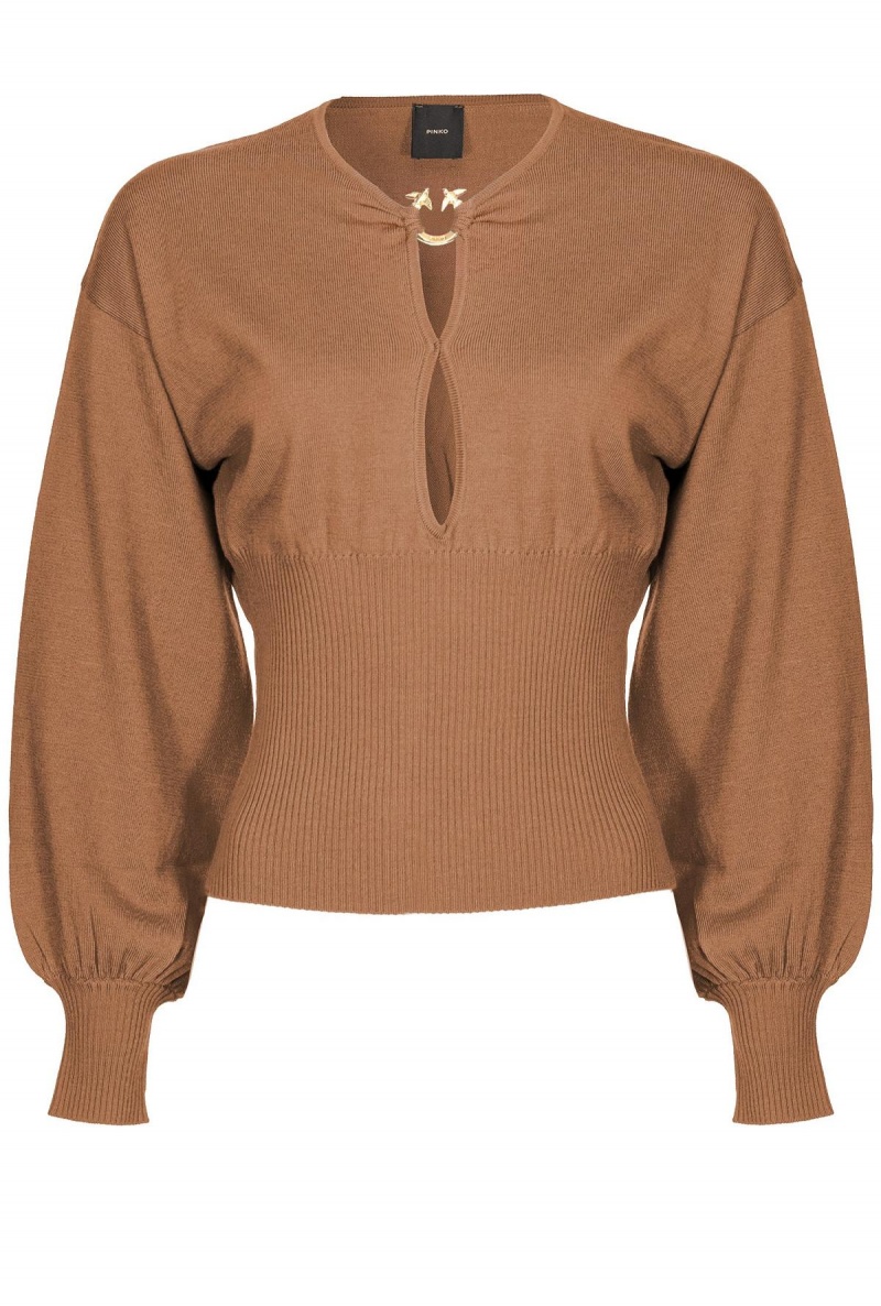 BRAN BROWN Pinko Wool sweater with Love Birds buckle | SMYVO73672