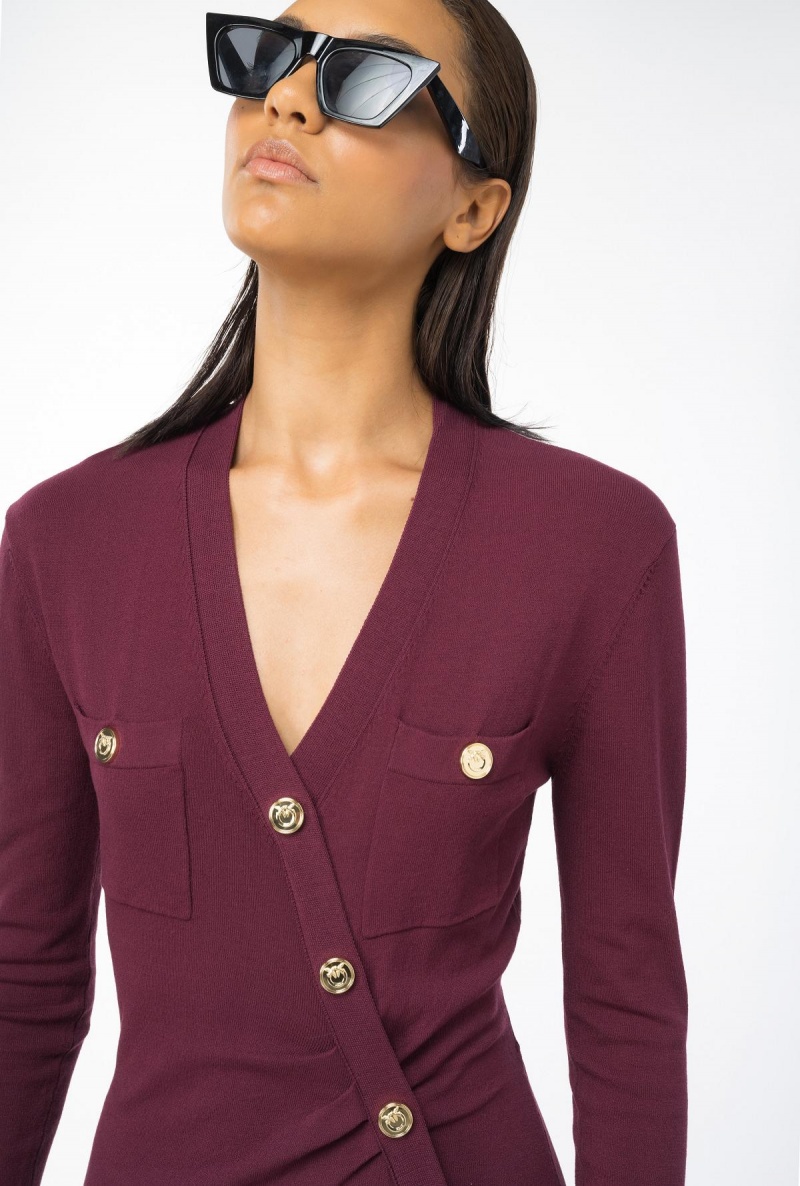 BURGUNDY-PORT ROYALE Pinko Long knit dress with golden buttons | MYXBR22962