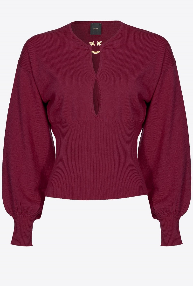 BURGUNDY-PORT ROYALE Pinko Wool sweater with Love Birds buckle | MYEAH30037