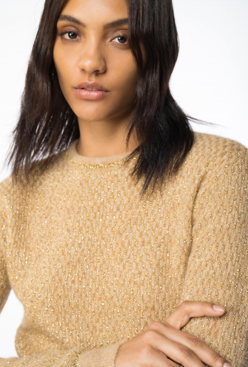 CAMEL/GOLD Pinko Lurex mesh jacquard pullover | MYJKU85501