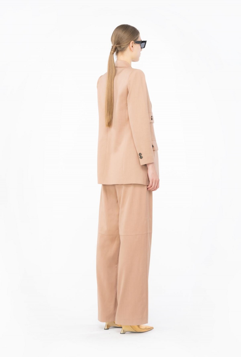 DARK LATTE Pinko Flannel trousers with belt | TMYWZ66725