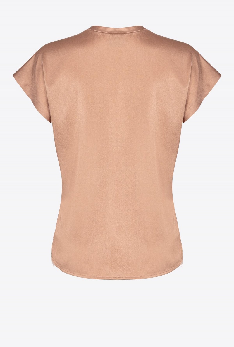 DARK LATTE Pinko Stretch satin top | MYNEJ62343