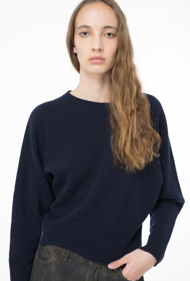 DARK NAVY BLUE Pinko Cashmere-blend pullover | EMYVG89008