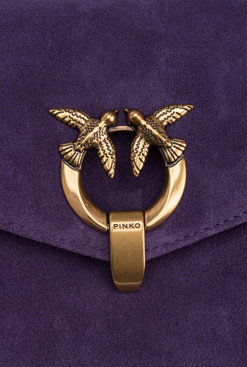 GRAPE PURPLE-ANTIQUE GOLD Pinko Cupido Bag Baguette in suede | MYDYB96710
