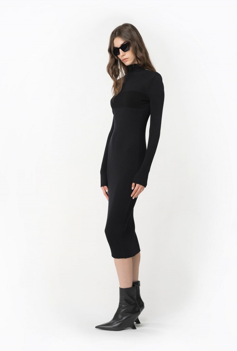 LIMO BLACK Pinko Long ribbed knit dress | MYZPD20549