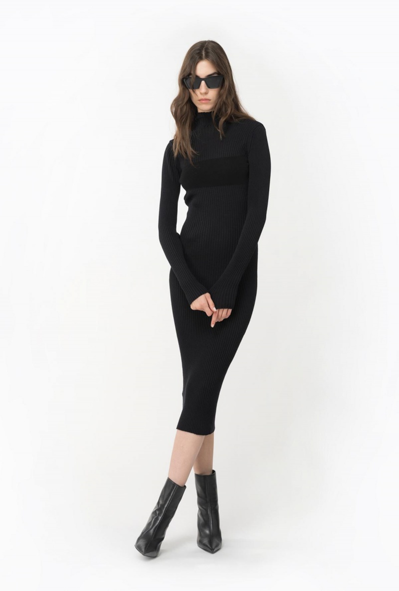 LIMO BLACK Pinko Long ribbed knit dress | MYZPD20549