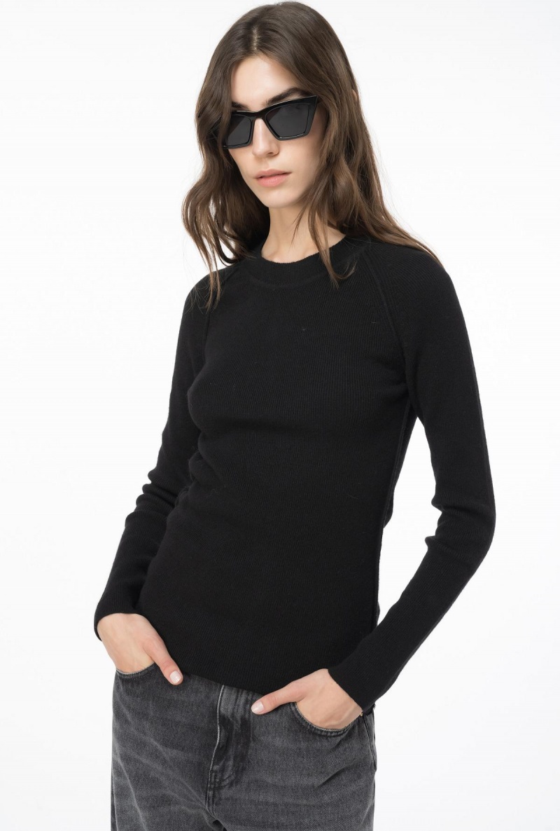 LIMO BLACK Pinko Long-sleeved rib-knit top | MYJVR37813