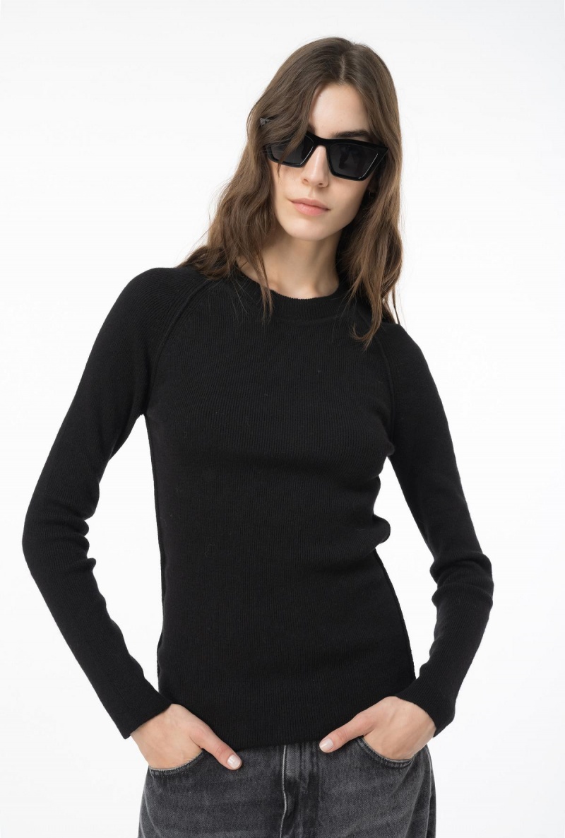 LIMO BLACK Pinko Long-sleeved rib-knit top | MYJVR37813