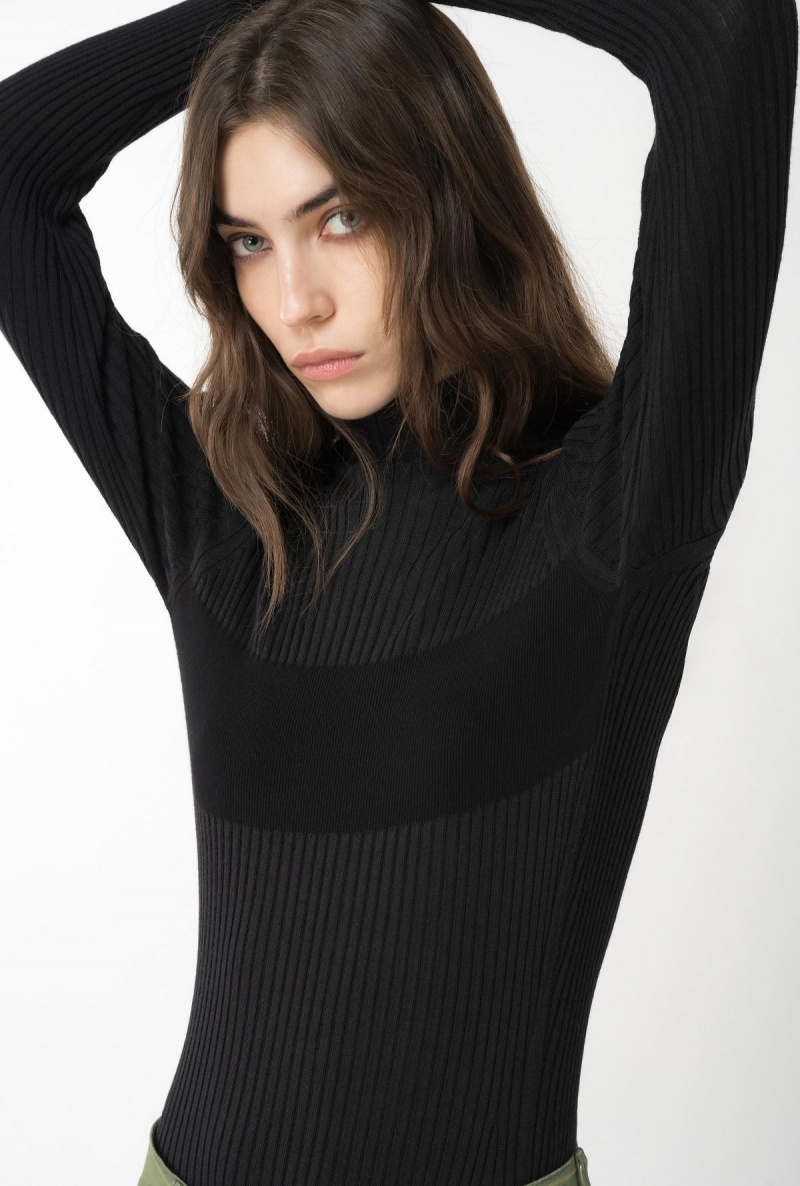 LIMO BLACK Pinko Ribbed knit turtleneck | MYNZX85827