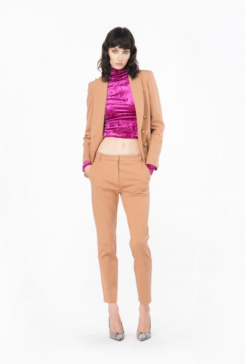 MOCHA MOUSSE Pinko Blazer with metal buttons | MMYFT48215