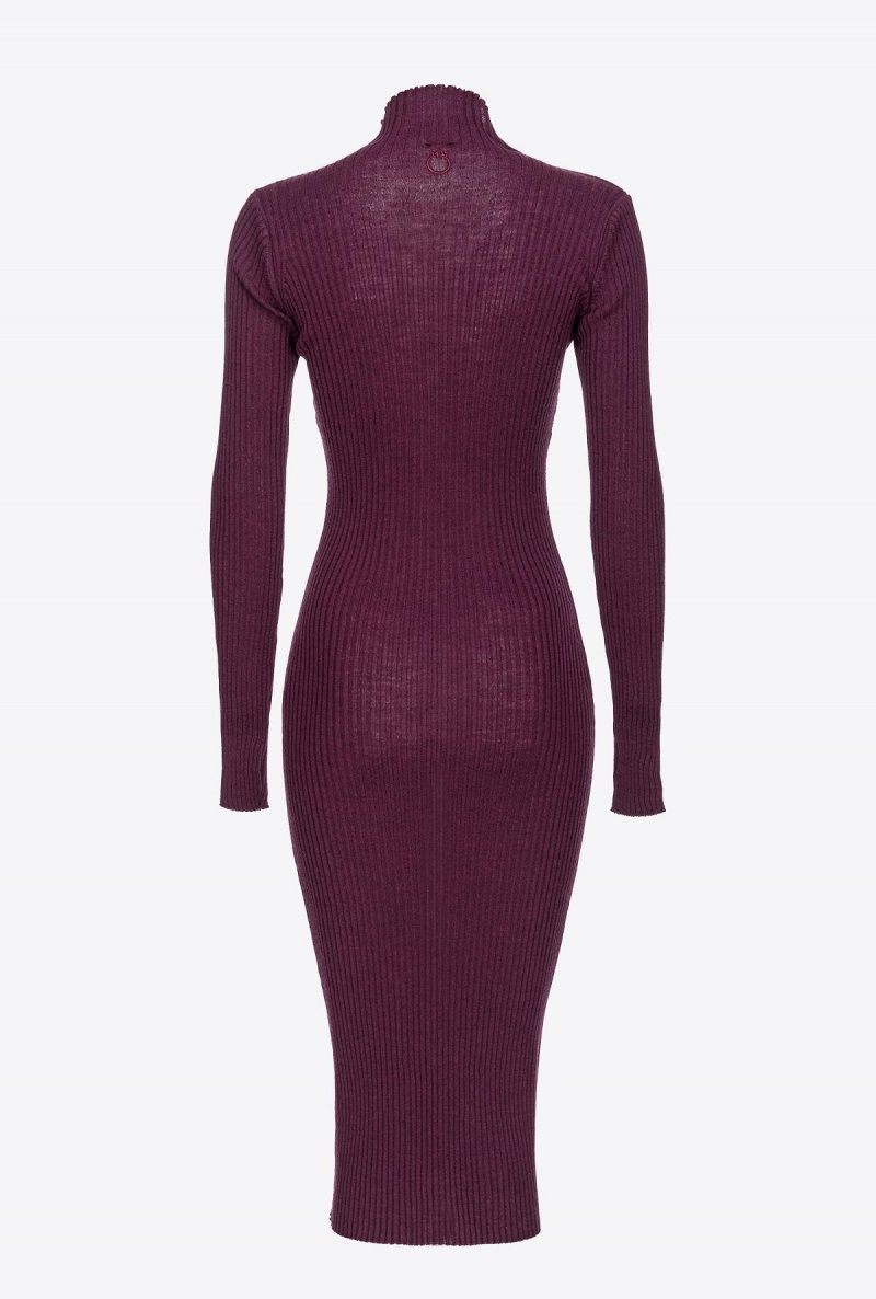 POTENT PURPLE Pinko Long ribbed knit dress | PMYQX11636
