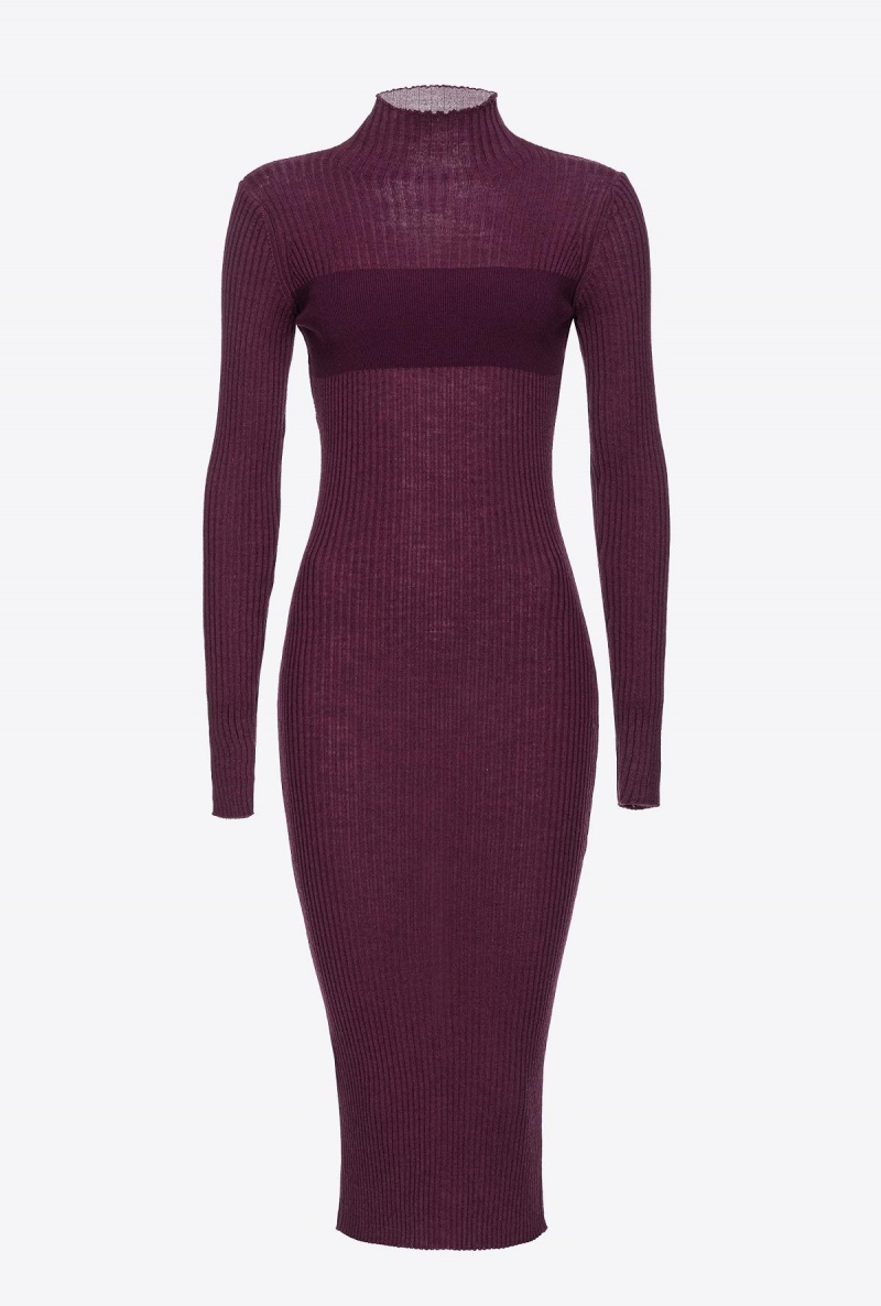 POTENT PURPLE Pinko Long ribbed knit dress | PMYQX11636