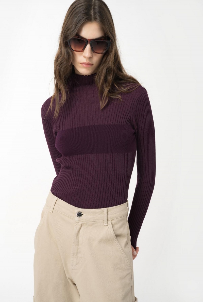POTENT PURPLE Pinko Ribbed knit turtleneck | XMYBH46779