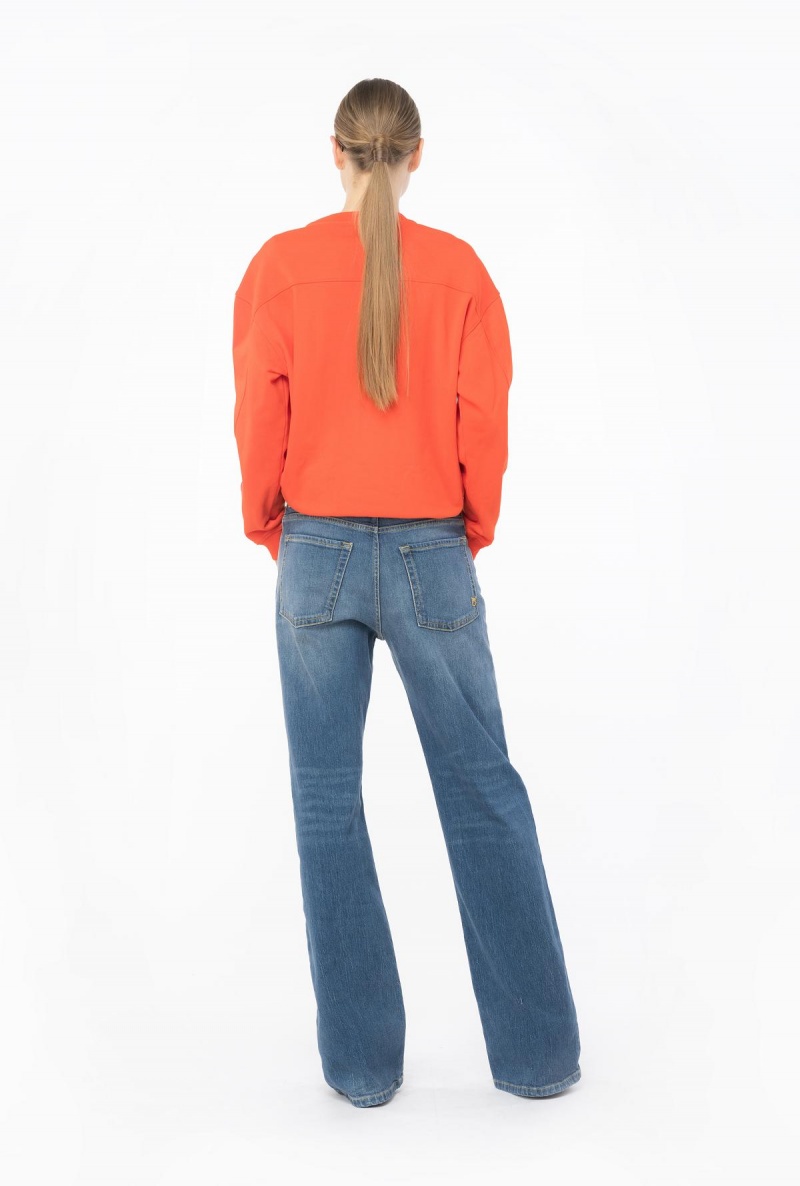 SURIMI ORANGE Pinko Sweatshirt with Love Birds embroidery | MYZPD68456
