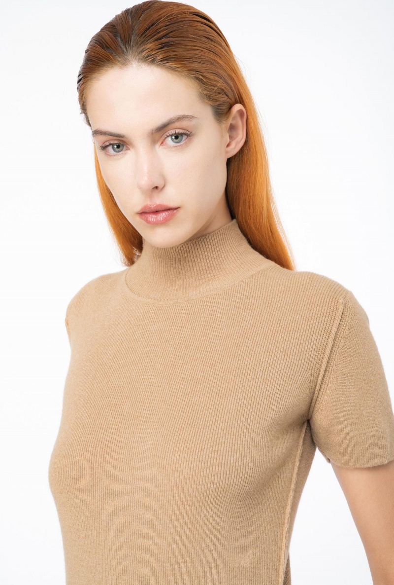 TANNIN BEIGE Pinko Ribbed wool and cashmere sweater | EMYHC50852
